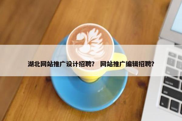 湖北网站推广设计招聘？ 网站推广编辑招聘？