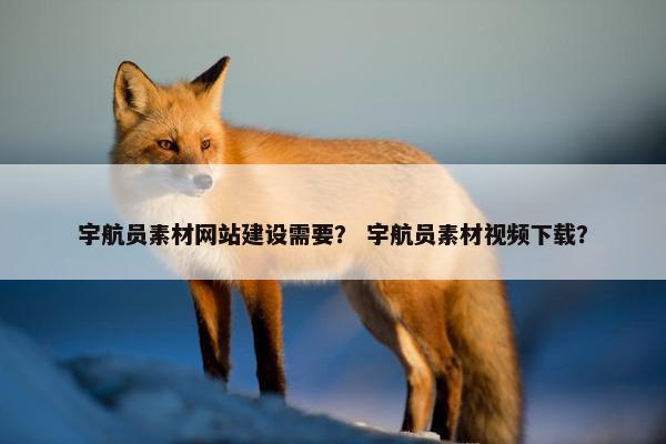 宇航员素材网站建设需要？ 宇航员素材视频下载？