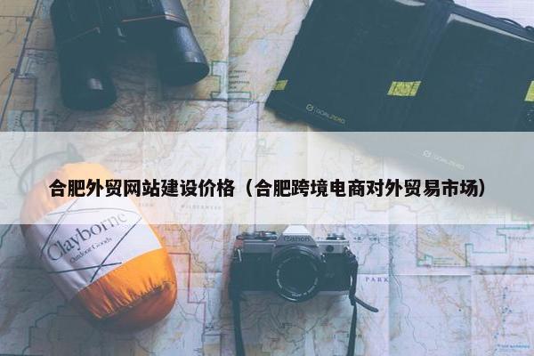 合肥外贸网站建设价格（合肥跨境电商对外贸易市场）