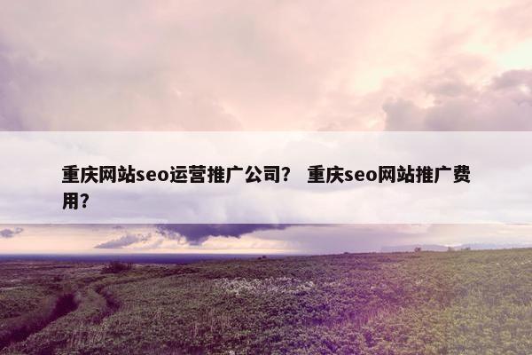 重庆网站seo运营推广公司？ 重庆seo网站推广费用？