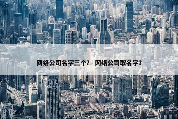 网络公司名字三个？ 网络公司取名字？