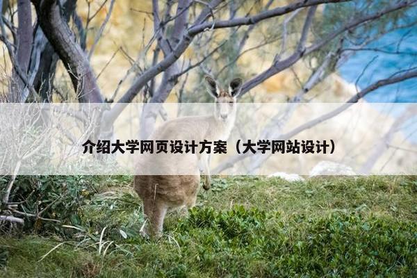介绍大学网页设计方案（大学网站设计）