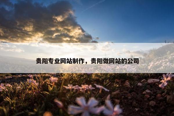 贵阳专业网站制作，贵阳做网站的公司