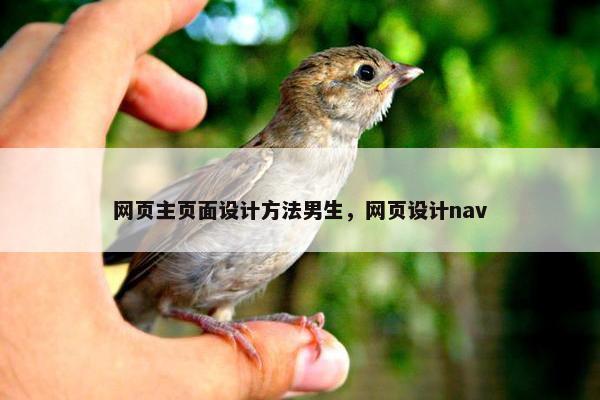 网页主页面设计方法男生，网页设计nav