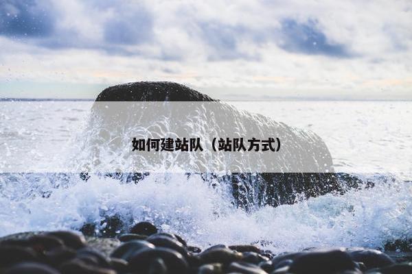 如何建站队（站队方式）