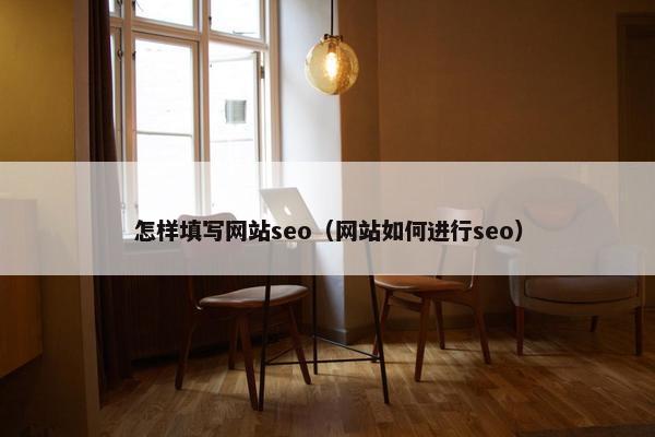 怎样填写网站seo（网站如何进行seo）