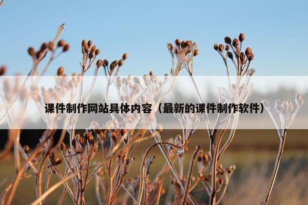 课件制作网站具体内容（最新的课件制作软件）