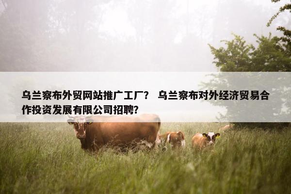 乌兰察布外贸网站推广工厂？ 乌兰察布对外经济贸易合作投资发展有限公司招聘？