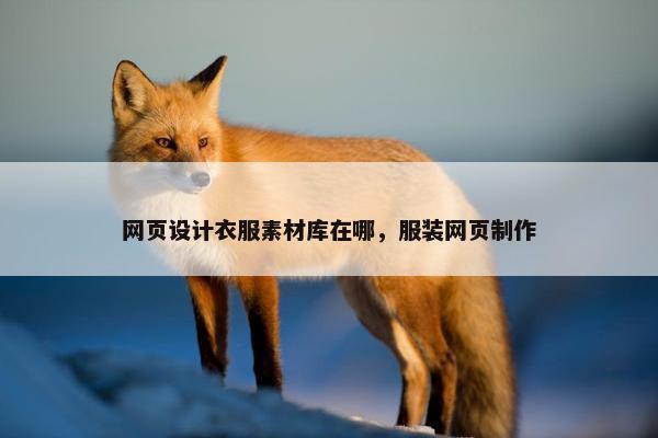 网页设计衣服素材库在哪，服装网页制作