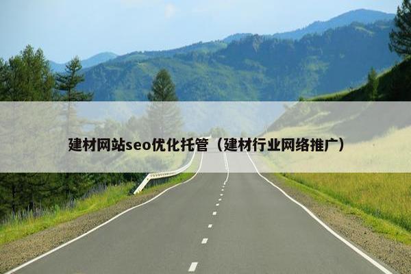 建材网站seo优化托管（建材行业网络推广）