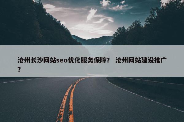 沧州长沙网站seo优化服务保障？ 沧州网站建设推广？