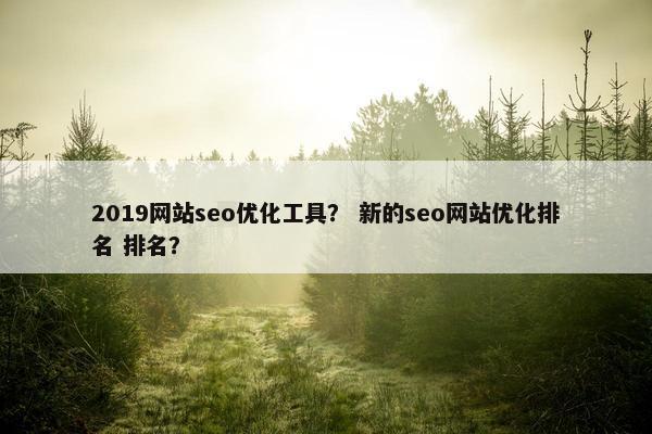 2019网站seo优化工具？ 新的seo网站优化排名 排名？