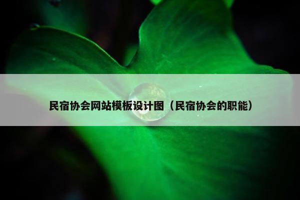 民宿协会网站模板设计图（民宿协会的职能）