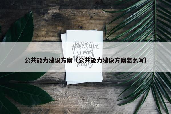 公共能力建设方案（公共能力建设方案怎么写）