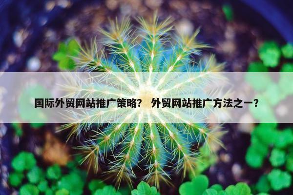 国际外贸网站推广策略？ 外贸网站推广方法之一？