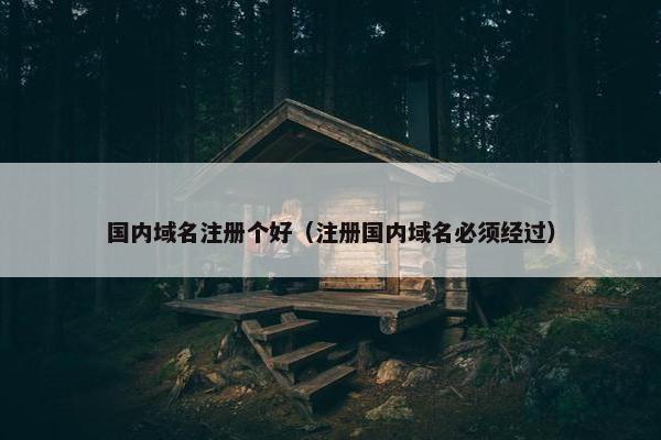 国内域名注册个好（注册国内域名必须经过）