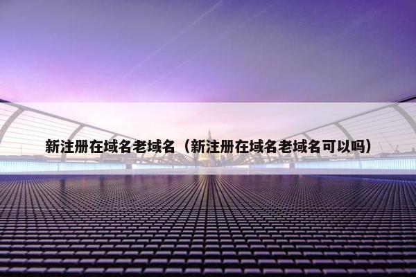 新注册在域名老域名（新注册在域名老域名可以吗）