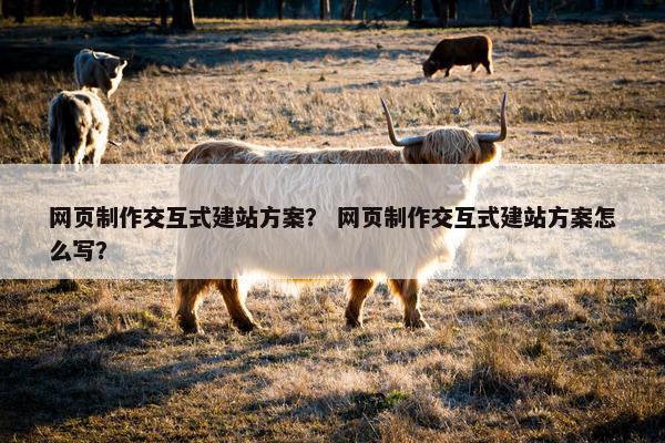 网页制作交互式建站方案？ 网页制作交互式建站方案怎么写？