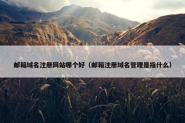 邮箱域名注册网站哪个好（邮箱注册域名管理是指什么）