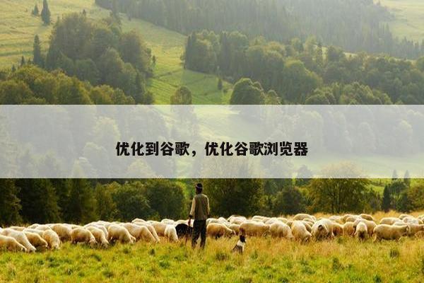 优化到谷歌，优化谷歌浏览器