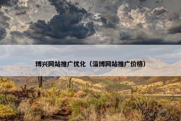 博兴网站推广优化（淄博网站推广价格）