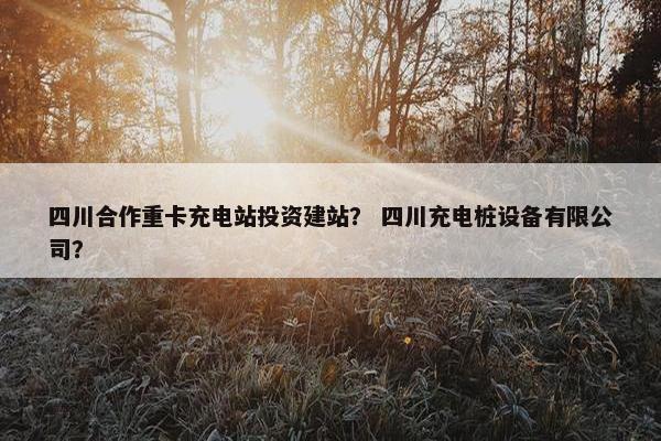 四川合作重卡充电站投资建站？ 四川充电桩设备有限公司？