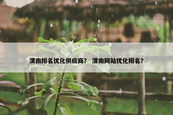 渭南排名优化供应商？ 渭南网站优化排名？
