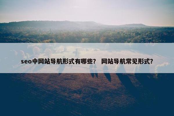seo中网站导航形式有哪些？ 网站导航常见形式？