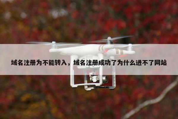 域名注册为不能转入，域名注册成功了为什么进不了网站