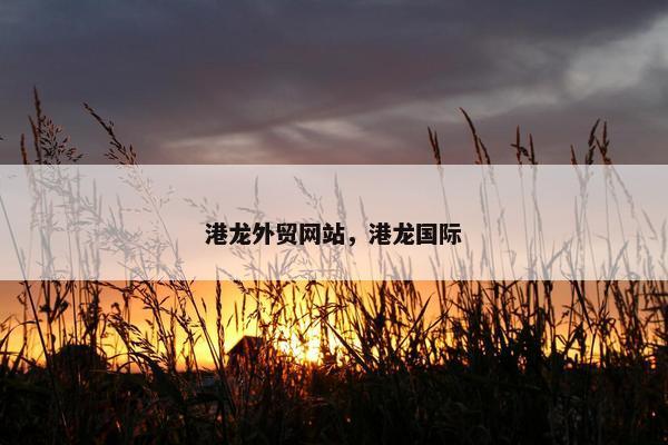 港龙外贸网站，港龙国际