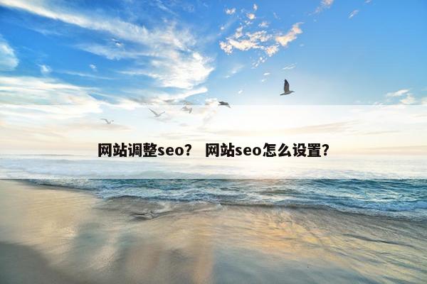 网站调整seo？ 网站seo怎么设置？
