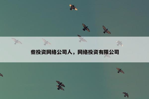 些投资网络公司人，网络投资有限公司