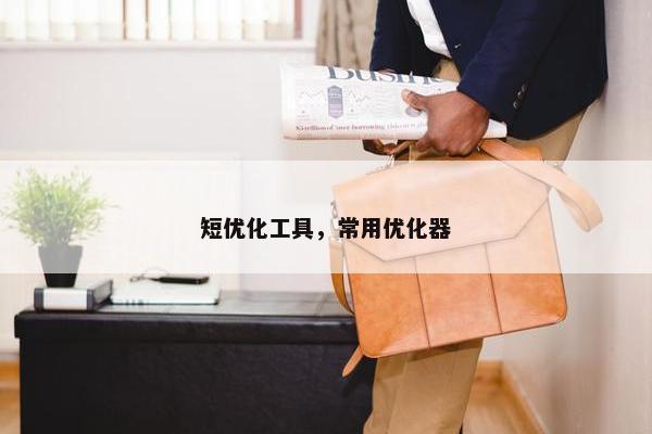 短优化工具，常用优化器