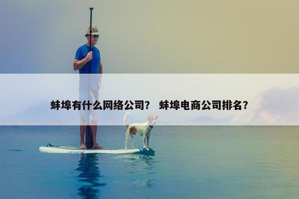 蚌埠有什么网络公司？ 蚌埠电商公司排名？