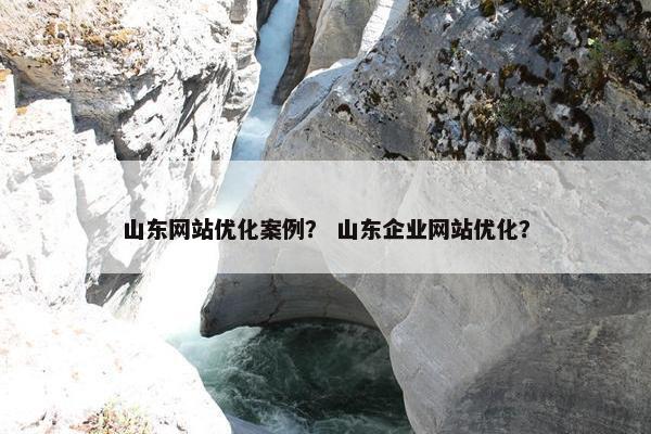 山东网站优化案例？ 山东企业网站优化？