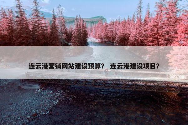 连云港营销网站建设预算？ 连云港建设项目？