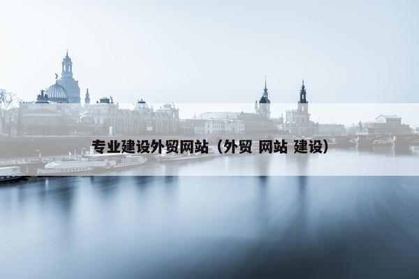 专业建设外贸网站（外贸 网站 建设）