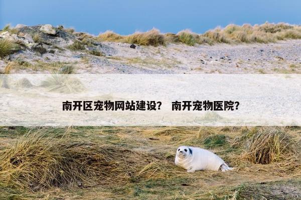 南开区宠物网站建设？ 南开宠物医院？