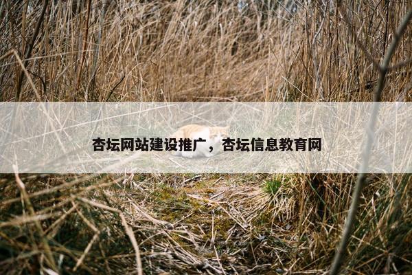 杏坛网站建设推广，杏坛信息教育网