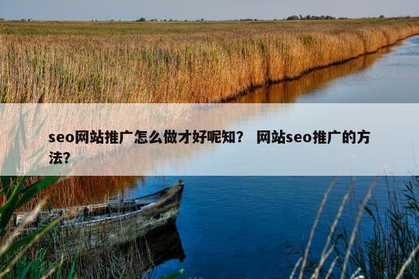 seo网站推广怎么做才好呢知？ 网站seo推广的方法？