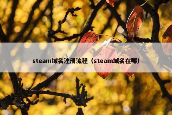 steam域名注册流程（steam域名在哪）