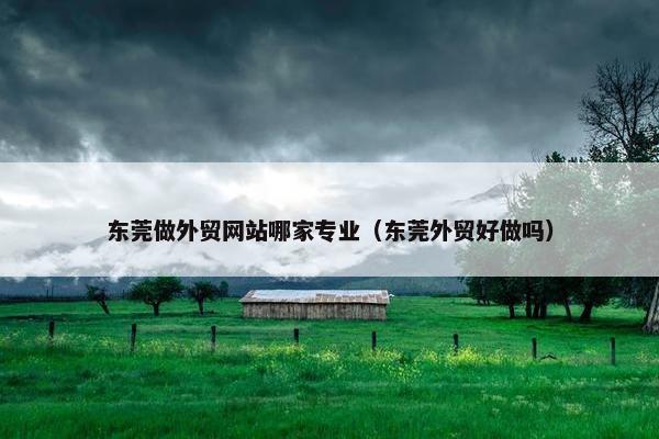 东莞做外贸网站哪家专业（东莞外贸好做吗）