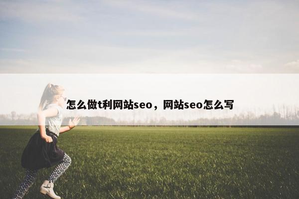 怎么做t利网站seo，网站seo怎么写