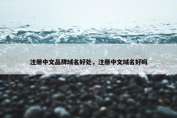 注册中文品牌域名好处，注册中文域名好吗