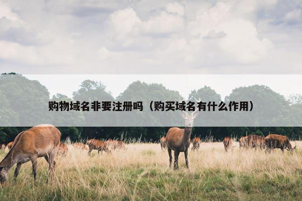 购物域名非要注册吗（购买域名有什么作用）