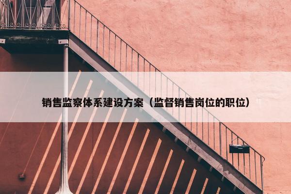 销售监察体系建设方案（监督销售岗位的职位）