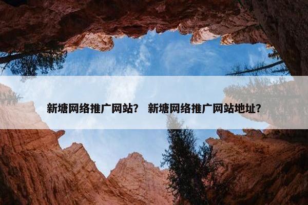 新塘网络推广网站？ 新塘网络推广网站地址？