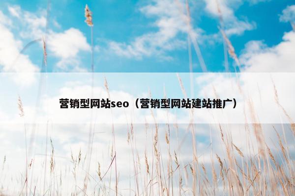 营销型网站seo（营销型网站建站推广）