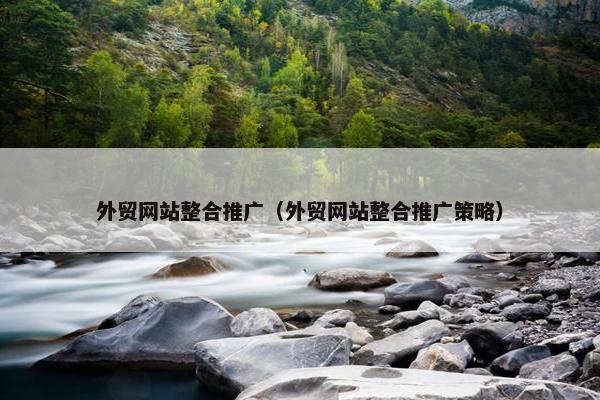 外贸网站整合推广（外贸网站整合推广策略）