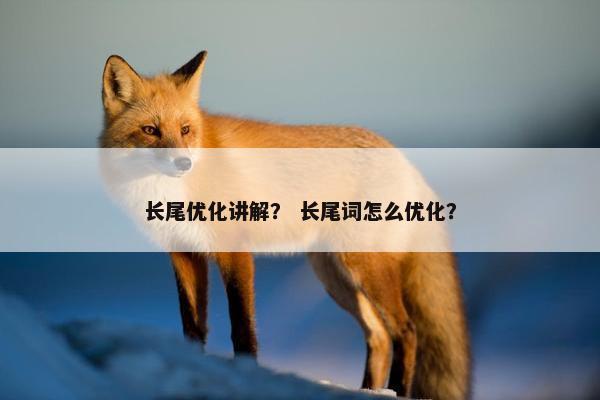 长尾优化讲解？ 长尾词怎么优化？